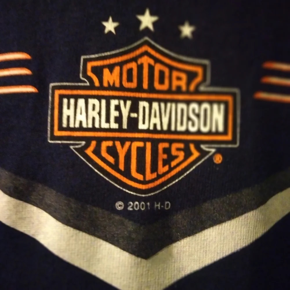 Harley-Davidson tee (2001) medium EUC - Picture 5 of 6